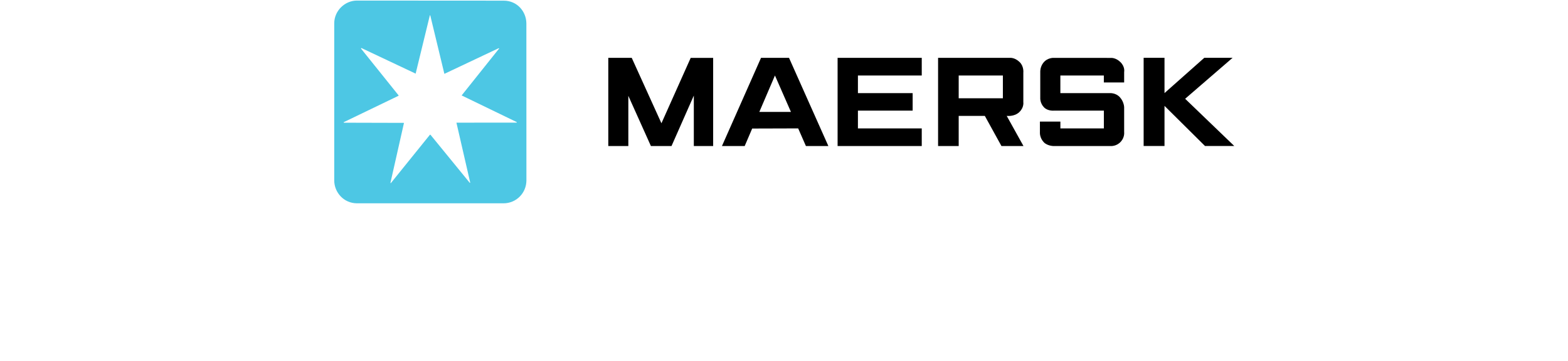 Partner Logo 1